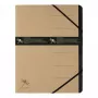 Raccoglitore classico Pagna 40060-11