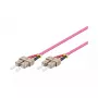Cavo in fibra ottica Alcasa 10m SC/SC