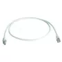 Cavo di rete Telegärtner MP8 FS500 LSZH 1 m