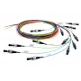 Cavo InfiniBand/fibra ottica Telegärtner 2 m 12x SC multicolore