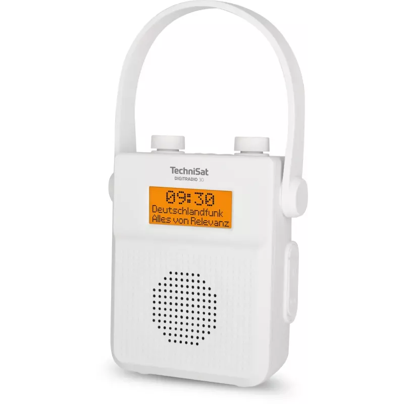 Radio portatile TechniSat DIGITRADIO 30 - V2 analogica e digitale DAB+ FM