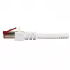 Cavo di rete EFB Elektronik K5518.30 RJ-45 Cat6 30 m bianco