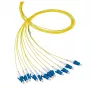Cavo in fibra ottica EFB Elektronik O0480.2 2 m LC giallo