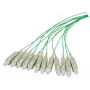 Cavo in fibra ottica EFB Elektronik O3333.2 2 m SC blu