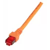 Cavo di rete EFB Elektronik K5516.50 RJ-45 Cat6 50 m arancione