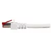 Cavo di rete EFB Elektronik K5518.50 RJ-45 Cat6 50 m bianco