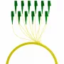 EFB Elektronik FTTH-PIGTAIL-LCA1 cavo in fibra ottica 2 m LC/APC 6x LC OS2
