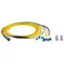 Cavo in fibra ottica EFB Elektronik MTPF08LCOS2-2 2 m