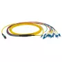 Cavo in fibra ottica EFB Elektronik MTPF12LCOS2-10 10 m