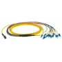 Cavo in fibra ottica EFB Elektronik MTPF12LCOS2-3