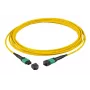Cavo in fibra ottica EFB Elektronik MTPF12MTPFOS2-1-A MTP OS2 1 m giallo