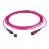 Cavo in fibra ottica EFB Elektronik MTPF72MTPFOM4-15-A 15 m OM4 MTP–MTP viola