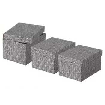 Scatola portadocumenti Esselte 628281 grigio rettangolare 200x255x150 mm