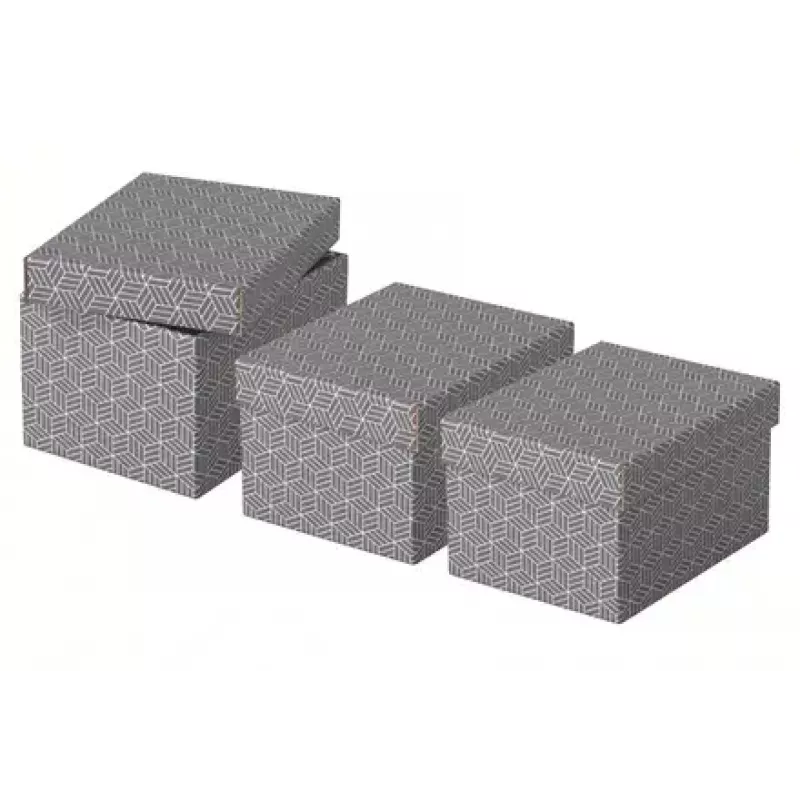 Scatola portadocumenti Esselte 628281 grigio rettangolare 200x255x150 mm