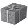 Scatola portadocumenti Esselte 628281 grigio rettangolare 200x255x150 mm