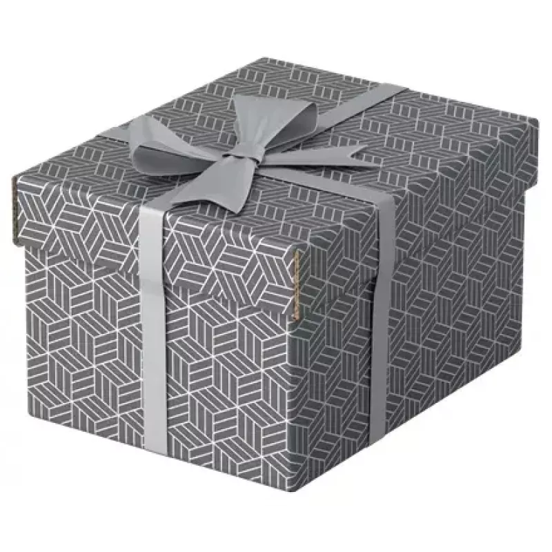 Scatola portadocumenti Esselte 628281 grigio rettangolare 200x255x150 mm