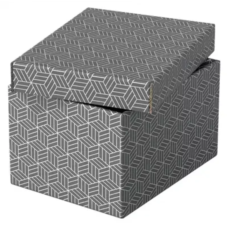 Scatola portadocumenti Esselte 628281 grigio rettangolare 200x255x150 mm