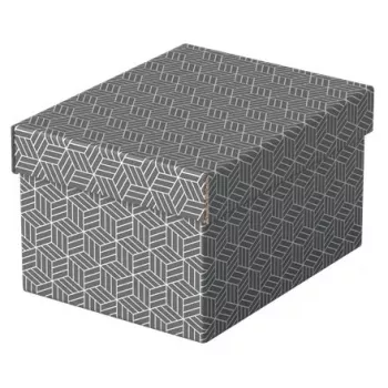 Scatola portadocumenti Esselte 628281 grigio rettangolare 200x255x150 mm