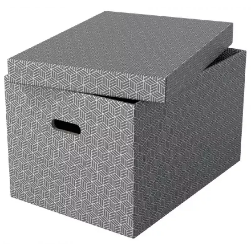 Scatola portadocumenti ESSELTE 628287 rettangolare cartone grigio 355×510×305 mm