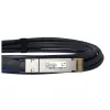 Cavo DAC BlueOptics PAN-QSFPDD-DAC-1M-BL QSFP-DD InfiniBand 1 m nero