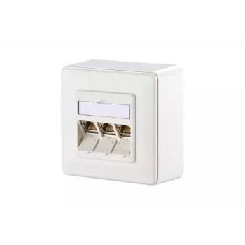Presa di rete RJ-45 BTR NETCOM 1309130002-E bianca