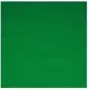 Walimex 16550 Fondale in tessuto, verde, 2,85 x 6 m