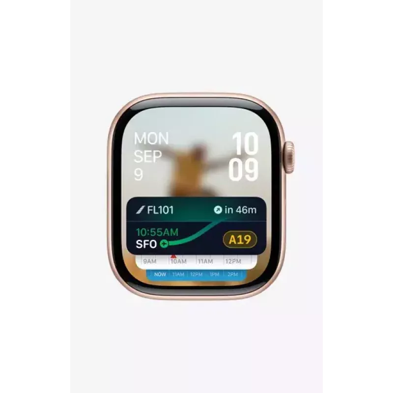 Smartwatch Apple Watch Series 10 GPS + Cellular 42 mm Slate Titanium nero
