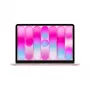 Laptop Apple MacBook Neo 13