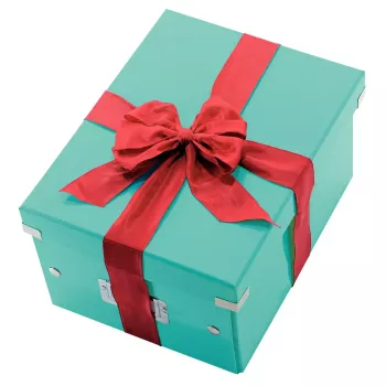 Scatola portadocumenti Leitz Click & Store Medium Box