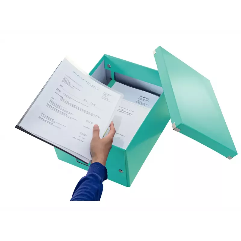 Scatola portadocumenti Leitz Click & Store Medium Box