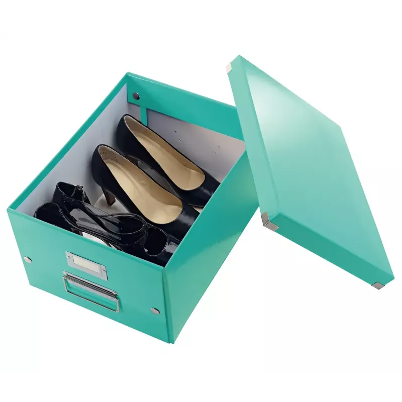 Scatola portadocumenti Leitz Click & Store Medium Box