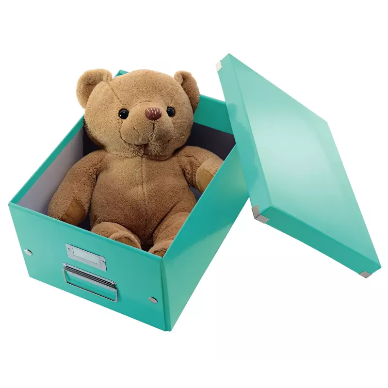 Scatola portadocumenti Leitz Click & Store Medium Box
