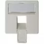 Pannello frontale 50×50 mm per AMJ45 8/8 UP/O, Telegärtner, bianco alpino