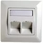 Cornice adattatore RJ45 Cat.5e Telegärtner H02010A0040 45° doppia 80x80 mm bianco alpino