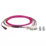 Cavo in fibra ottica EFB Elektronik MTPF08LCOM4-3 3 m