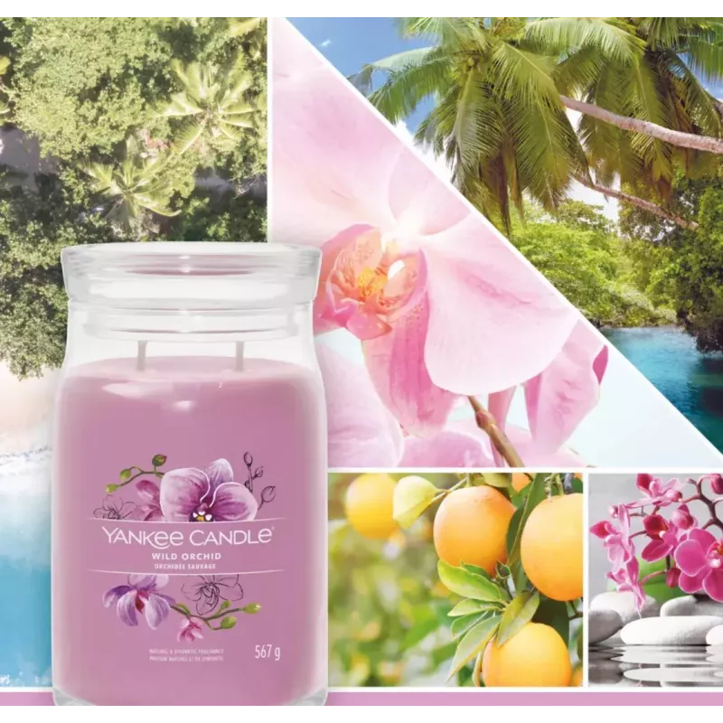 Candela in cera Yankee Candle Wild Orchid altezza 157 mm larghezza 93 mm