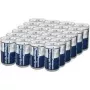 Panasonic Powerline D (Mono) Batteria, confezione da 24