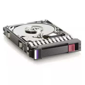 HPE M6625 – 300 GB – 2,5 pollici – SAS – 10.000 rpm