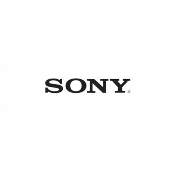 Modulo Sony SPRO LK1_M49_L43 A2179428A – modulo elettronico di ricambio Sony