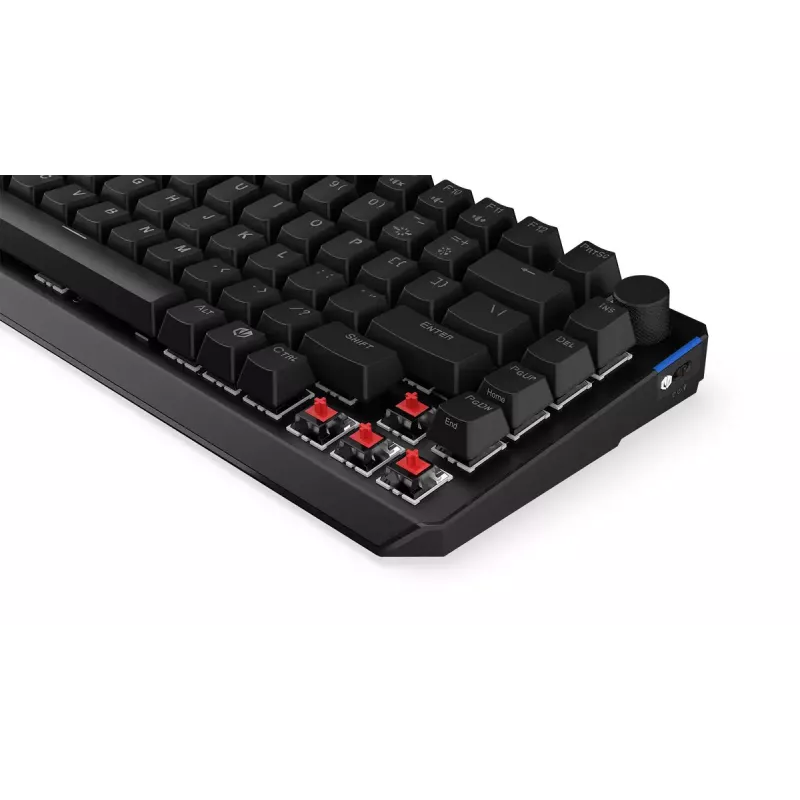 Tastiera meccanica ENDORFY Thock 75% Wireless Red RGB LED nera