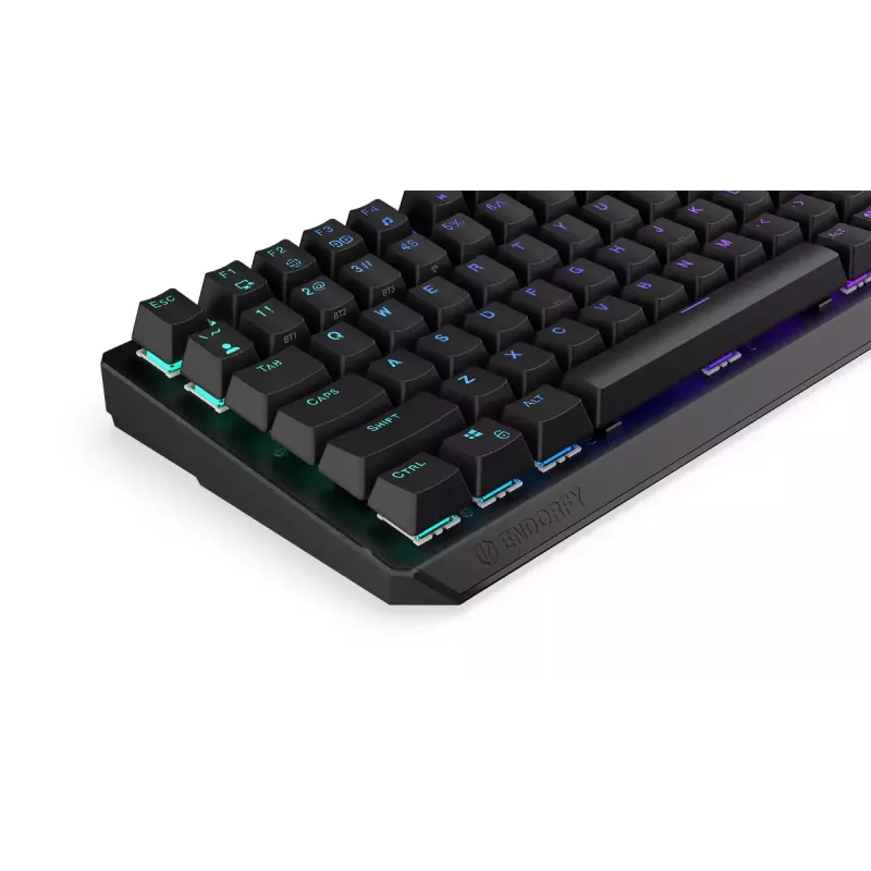 Tastiera meccanica ENDORFY Thock 75% Wireless Red RGB LED nera