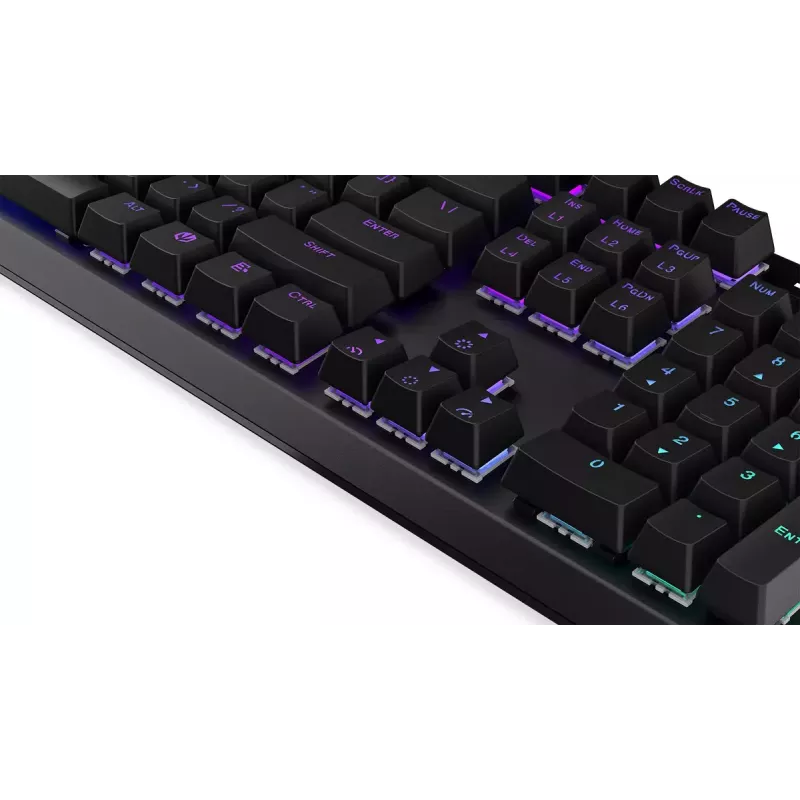 Tastiera gaming ENDORFY Thock RF Wireless USB Mechanical RGB nera