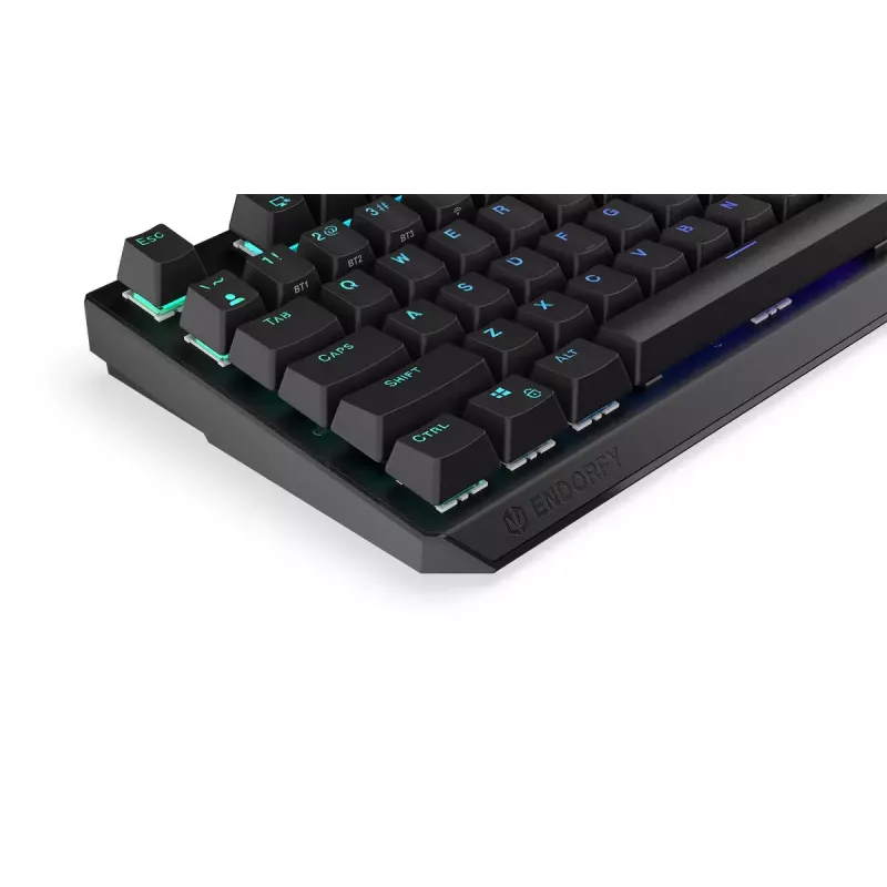 Tastiera gaming ENDORFY Thock RF Wireless USB Mechanical RGB nera
