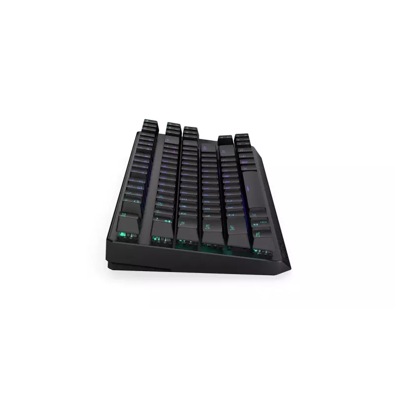 Tastiera ENDORFY Thock TKL Wireless nera meccanica RGB LED 87 tasti