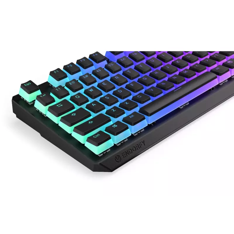 ENDORFY Thock TKL Wireless Red Pudding tastiera gaming