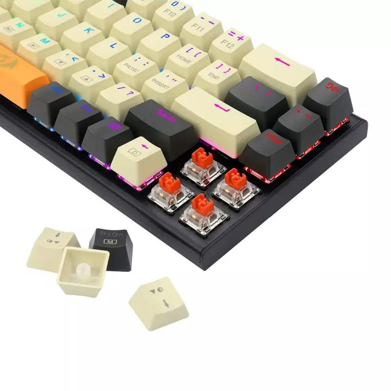 Tastiera REDRAGON K633CGO-RGB Ryze Mechanical USB con filo nero bianco