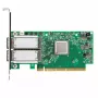 Scheda di rete Mellanox Technologies MCX556A-ECAT