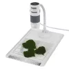 Microscopio digitale Carson EFLEX 300x, ingrandimento 75–300×, fotocamera 1600×1200, grigio/bianco