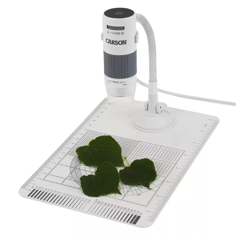 Microscopio digitale Carson EFLEX 300x, ingrandimento 75–300×, fotocamera 1600×1200, grigio/bianco