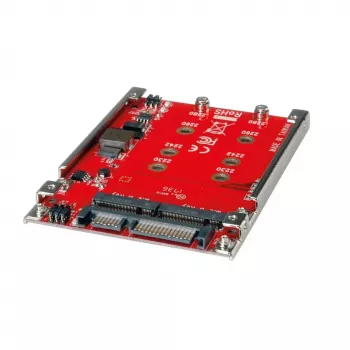 Scheda interfaccia ROLINE 16.01.4145 interna SATA M.2